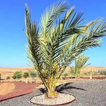 Casa Palmita En Violante Nyaraló Tesejerague