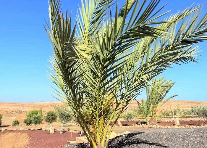 Casa Palmita En Violante בית נופש Tesejerague